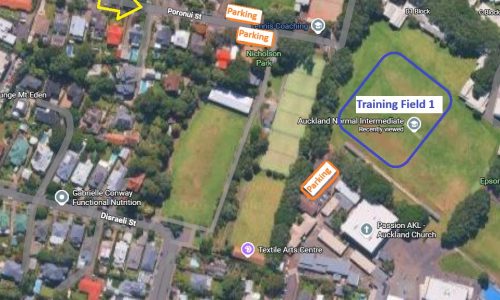 Auckland Normal School Parking